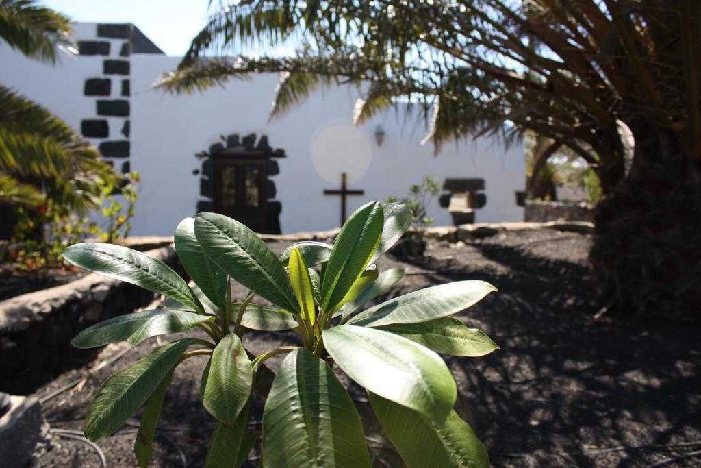 Casa Rural Finca Isabel Mozaga エクステリア 写真